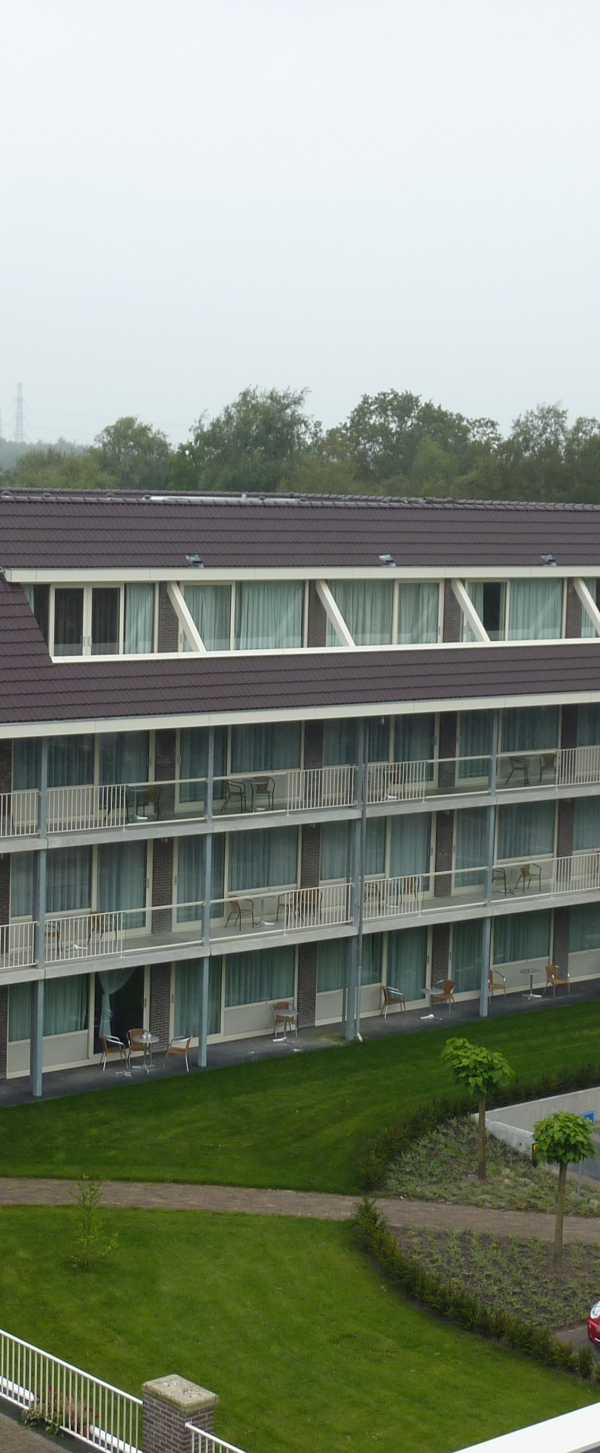 Valk Assen 8.JPG
